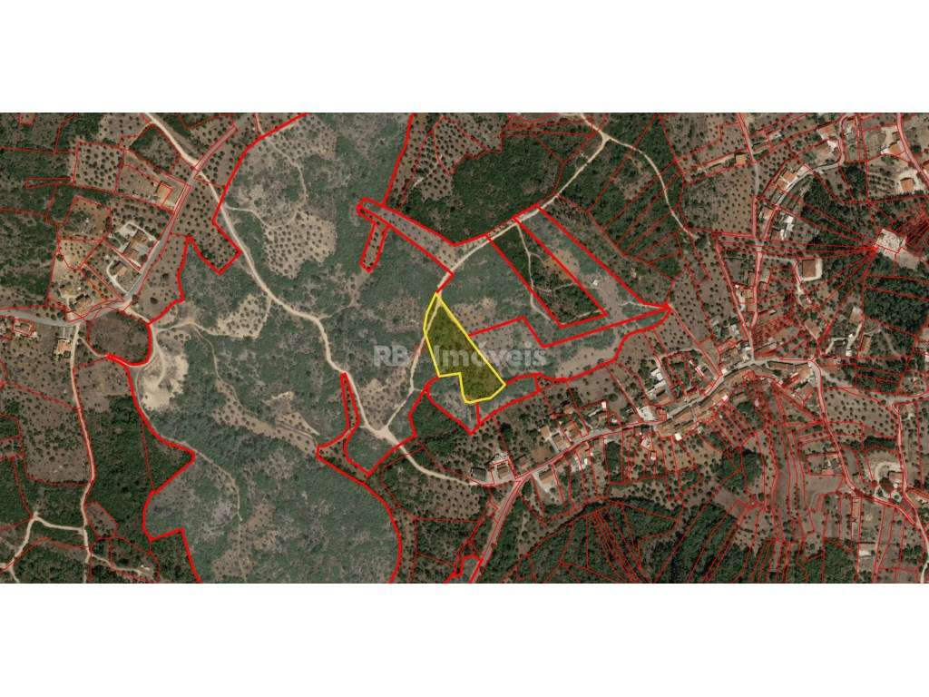 Lote de 6 terrenos rústicos na freguesia de Sabacheira, Tomar - Grande imagem: 5/7