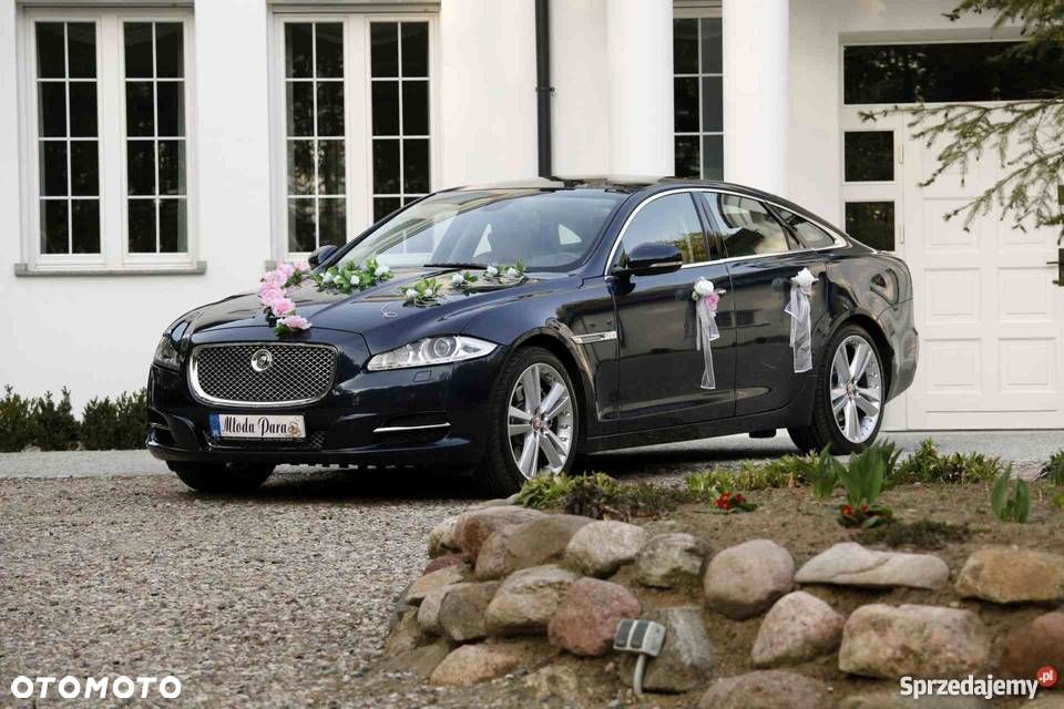 Jaguar XJ 3.0 D V6 Luxury - 1