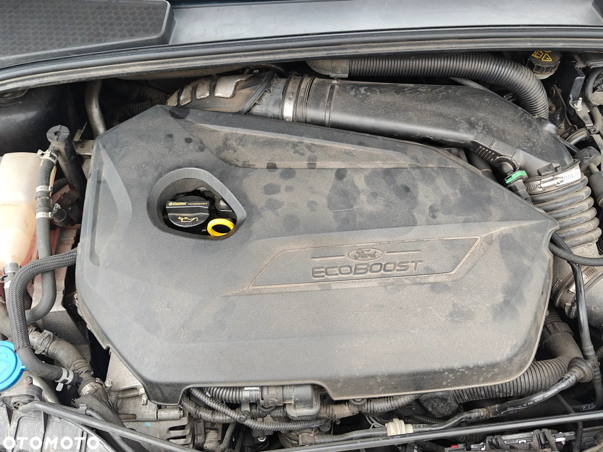 Ford Focus 1.6 EcoBoost Trend Sport - 12