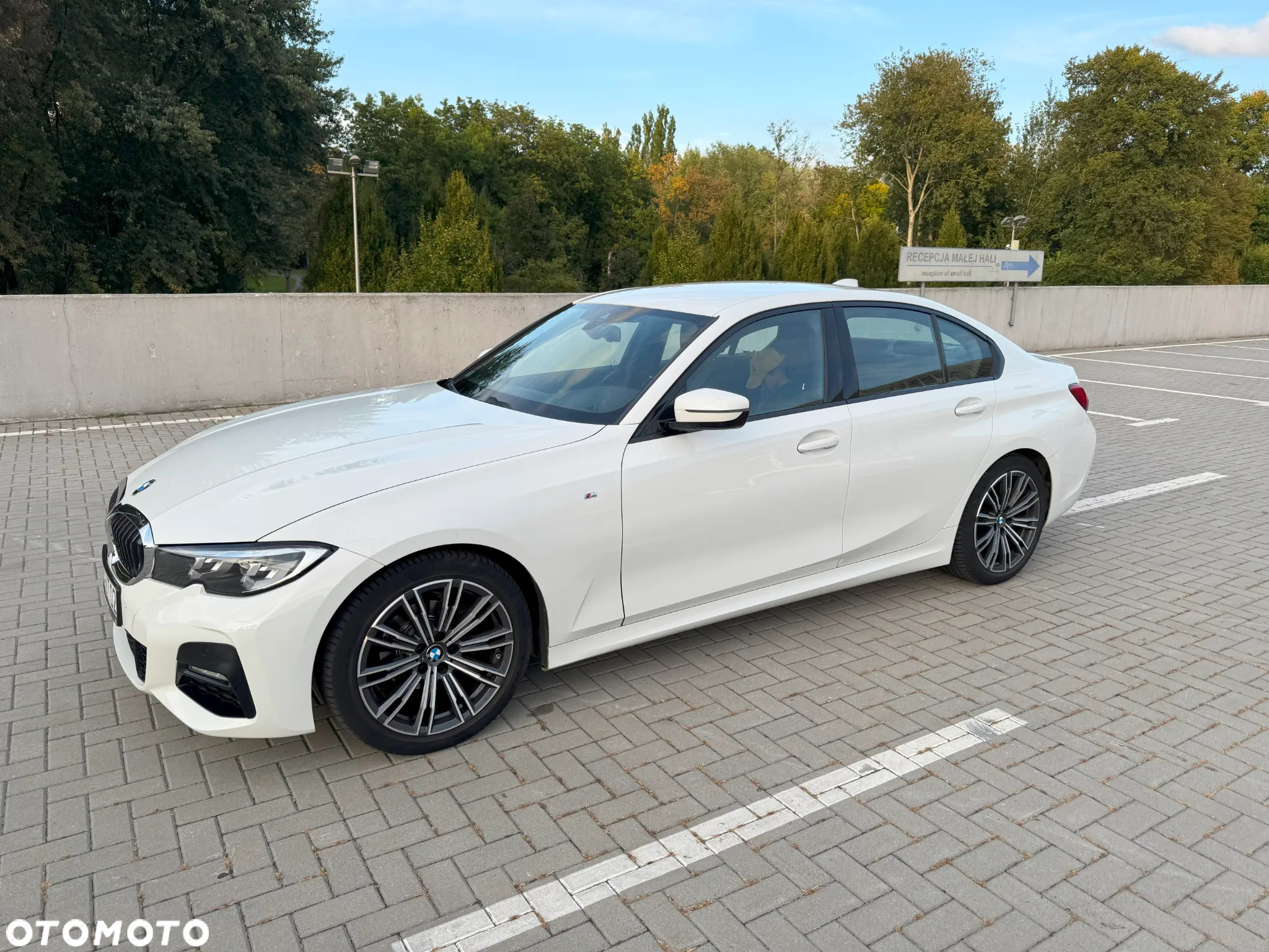 BMW Seria 3 318i M Sport - 2
