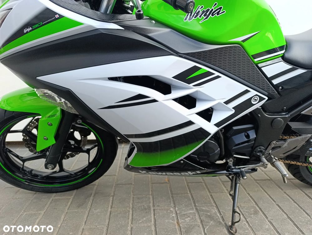 Kawasaki Ninja 300 ABS - 12