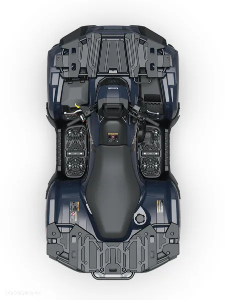 Kawasaki Brute Force - 2