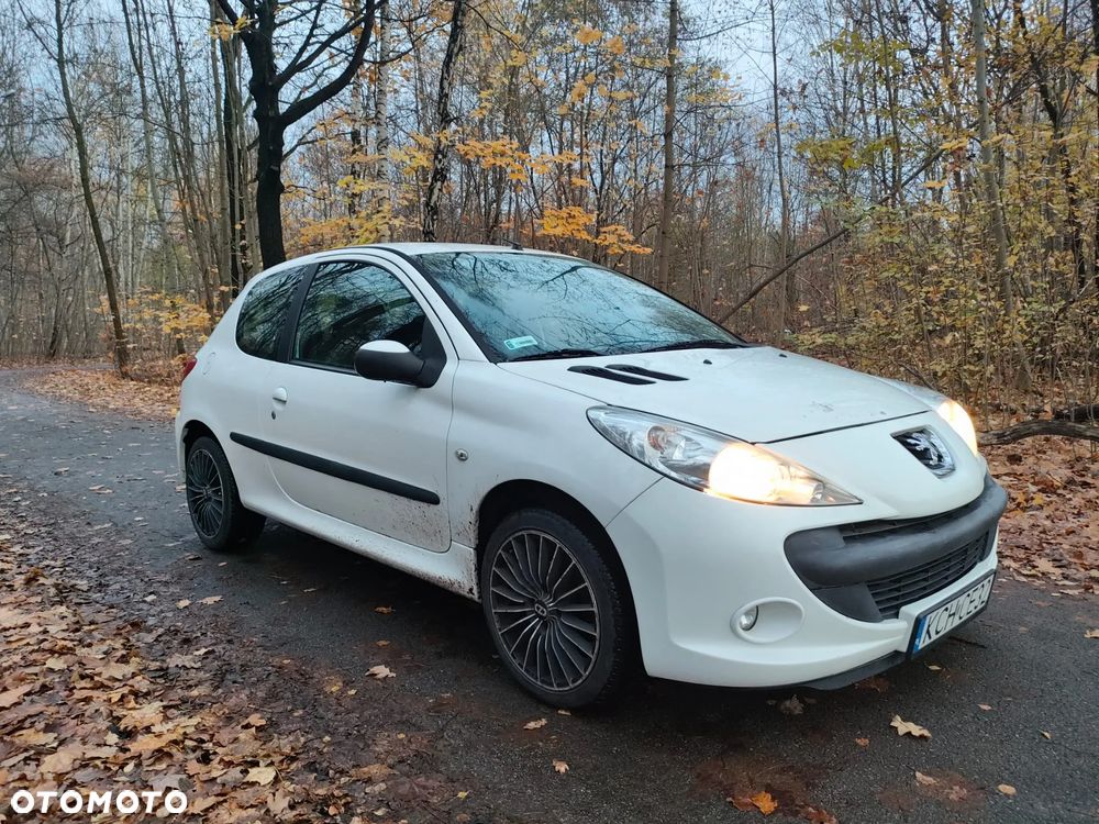 Peugeot 206 plus - 2