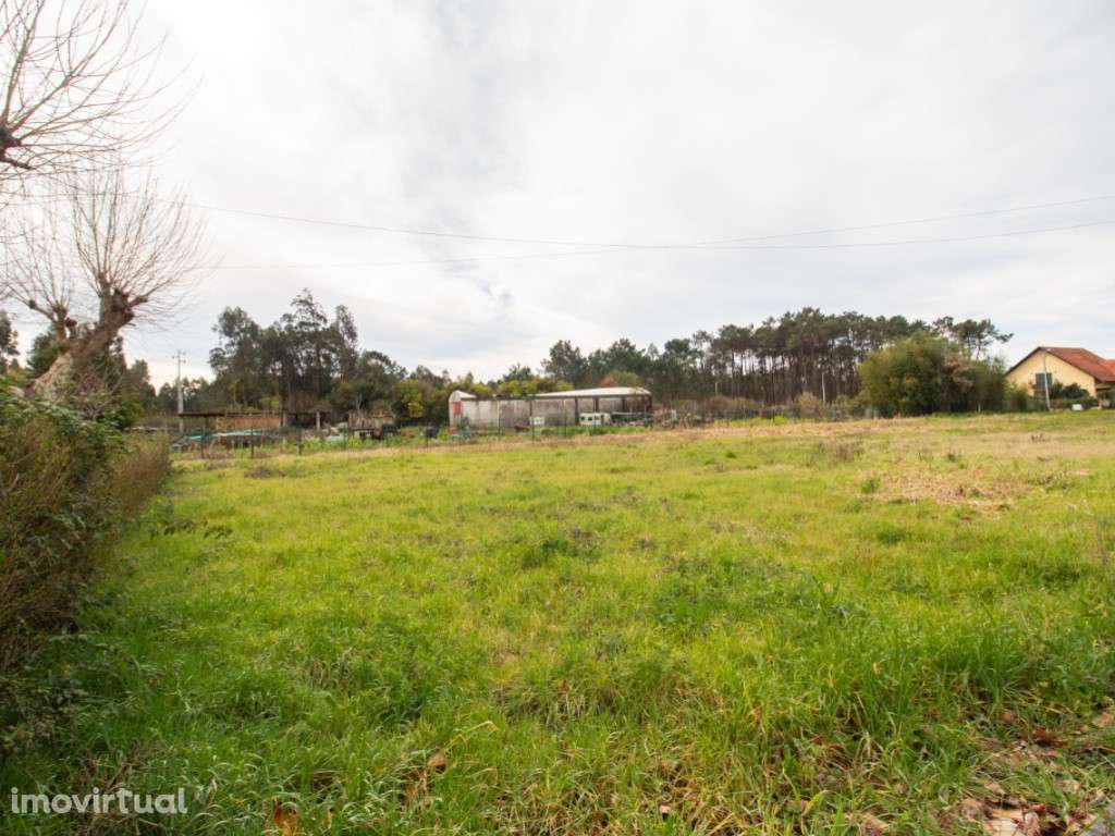 Lote de Terreno - Grande imagem: 2/17