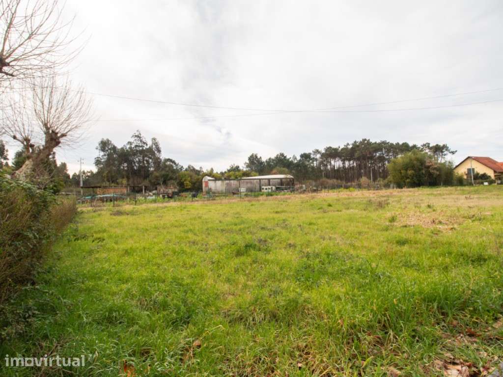Lote de Terreno - Grande imagem: 2/17