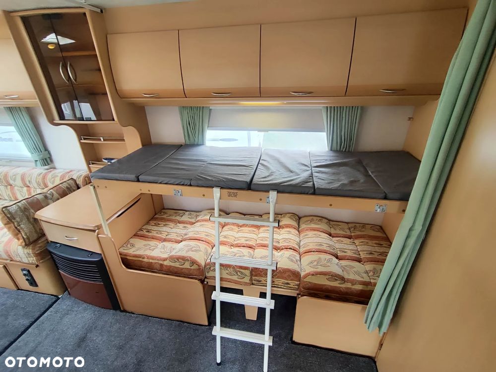 Coachman Amara - 13