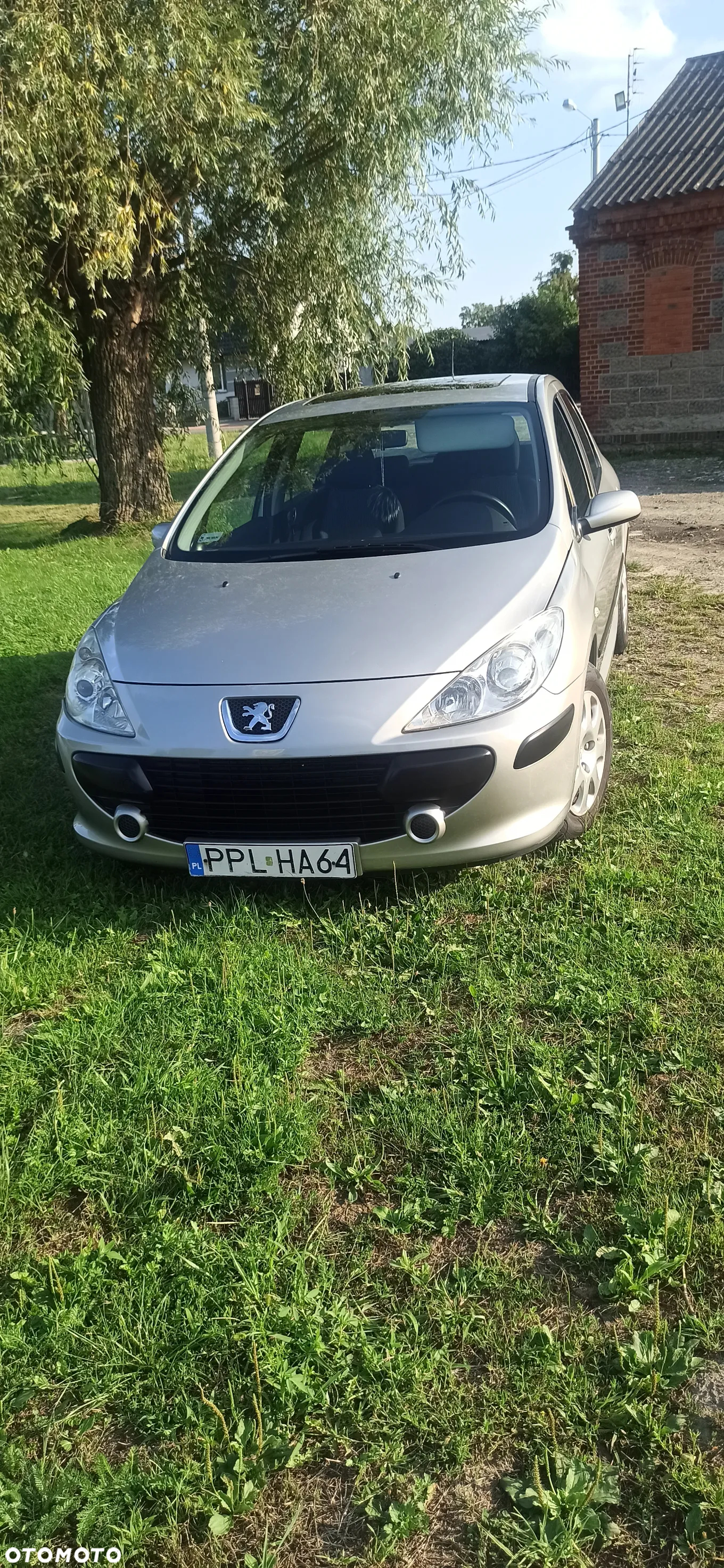 Peugeot 307 - 6