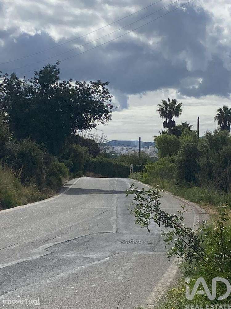 Terreno Agrícola em Loulé (São Sebastião) - Grande imagem: 5/16