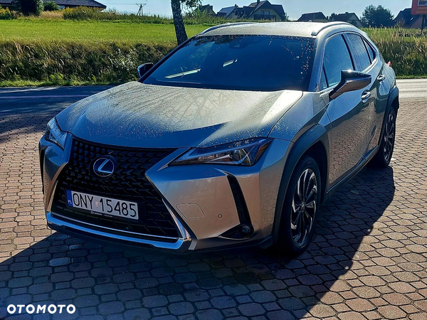 Lexus UX 200 GPF Pure 2WD