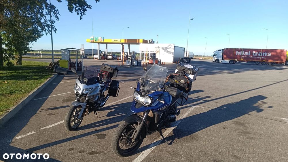 Triumph Tiger - 10