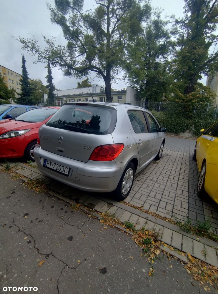 Peugeot 307 - 6