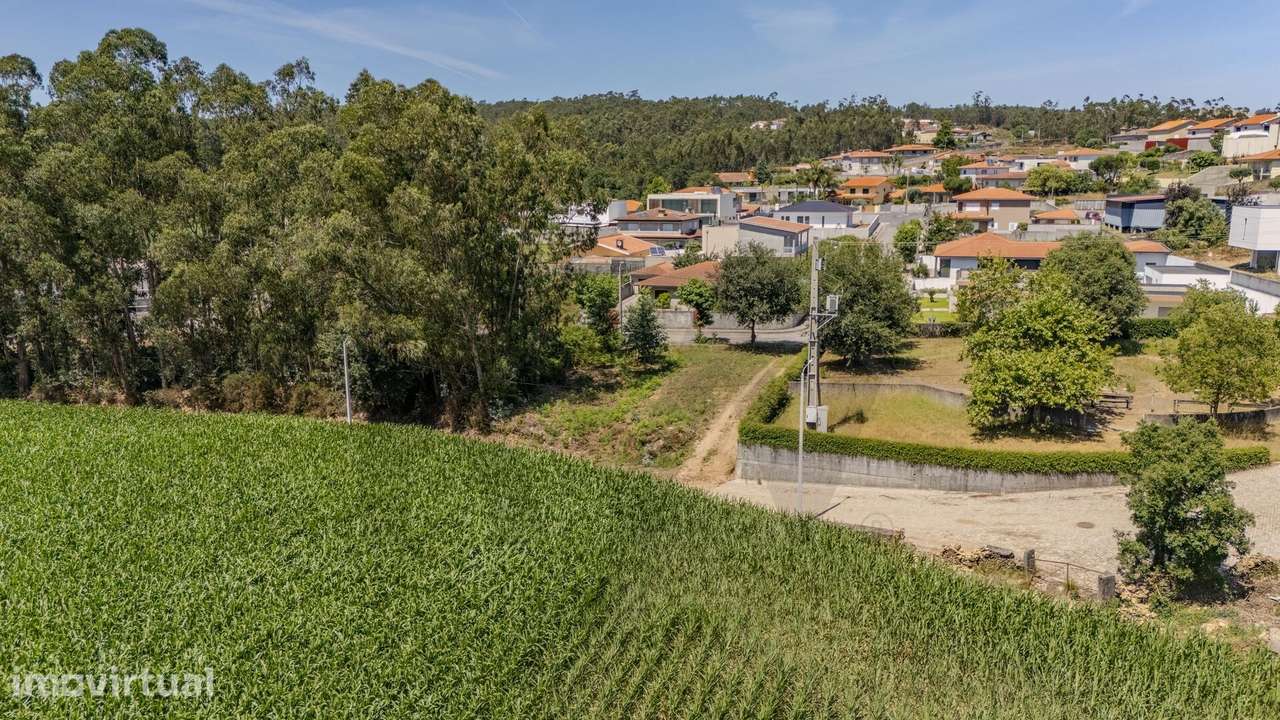 Terreno Fradelos (Sapugal) - Grande imagem: 2/11