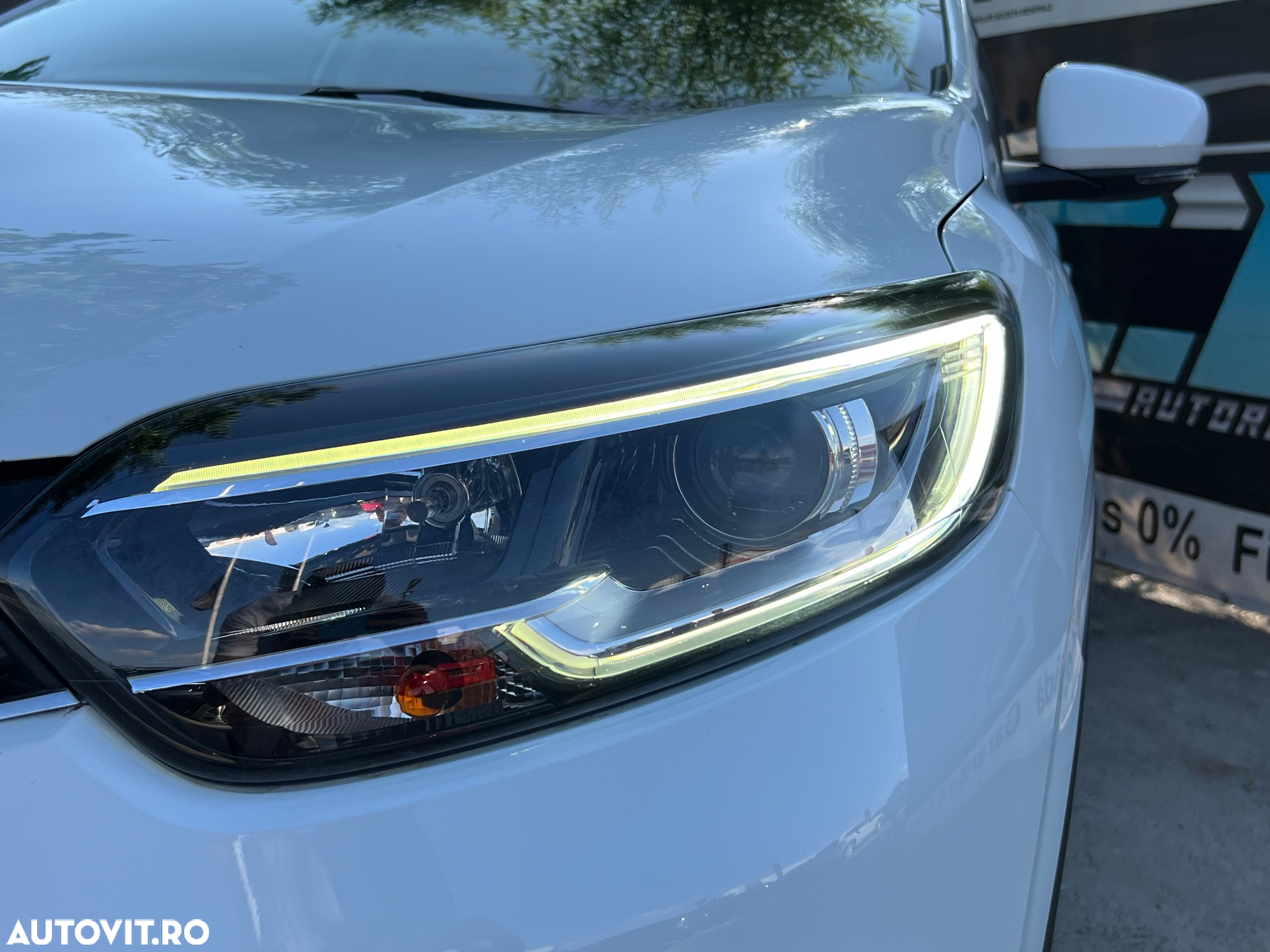 Renault Kadjar BLUE dCi 115 BUSINESS EDITION - 21