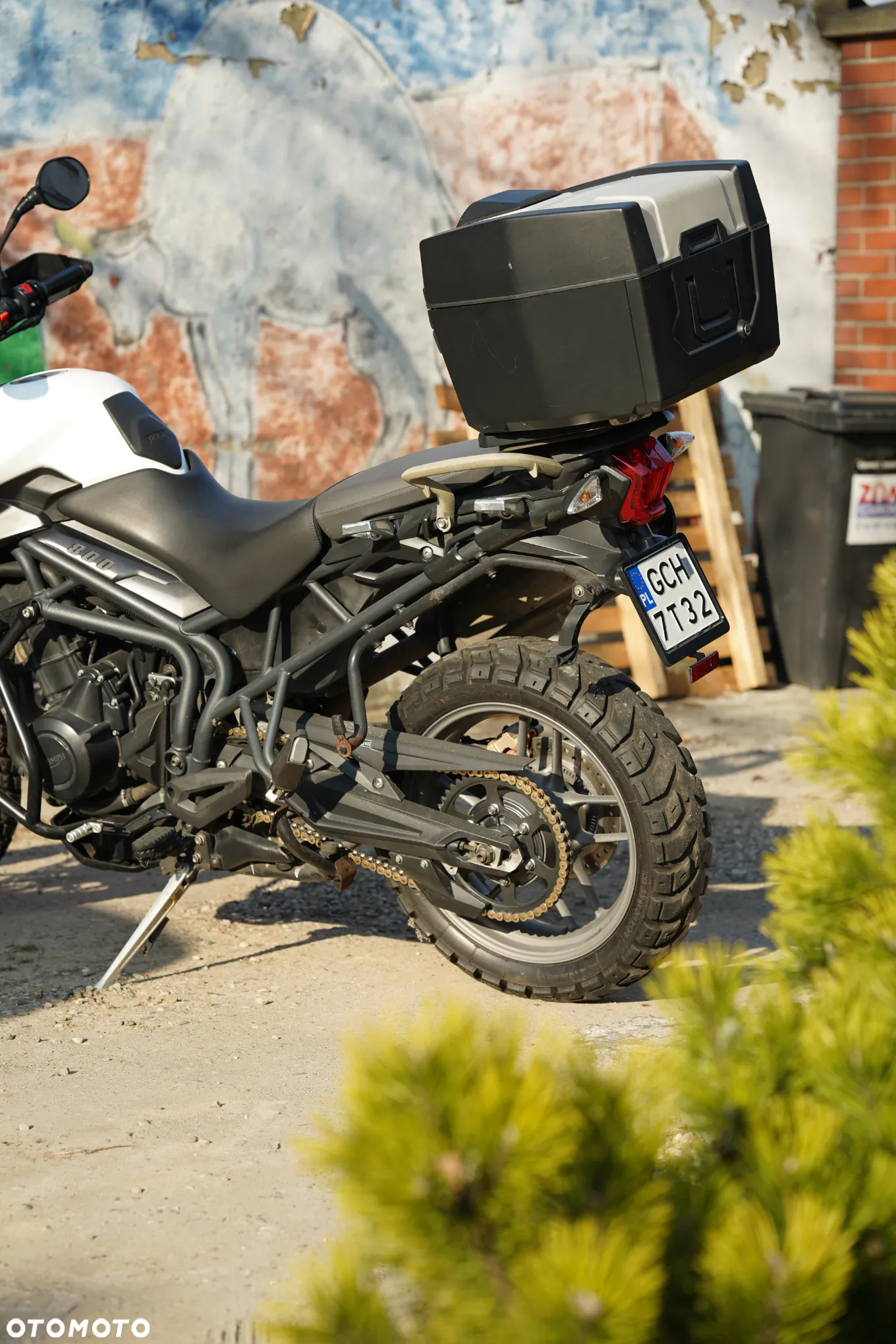 Triumph Tiger