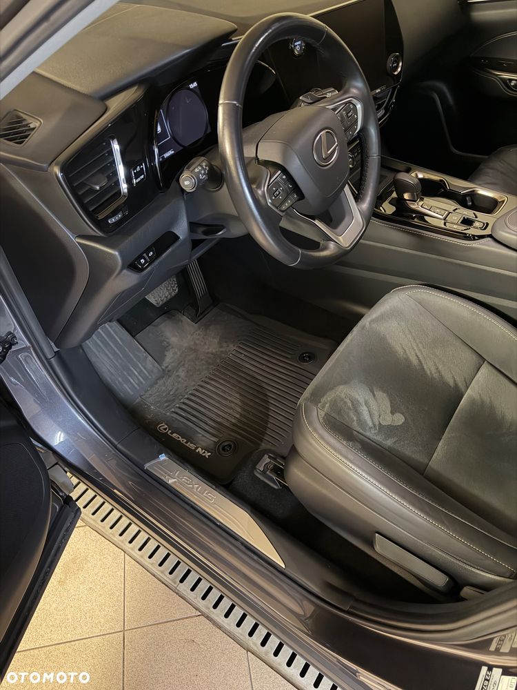 Lexus NX - 6