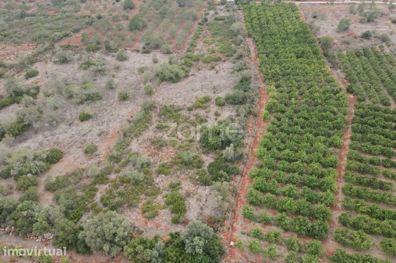 Terreno Rústico em Messines, em Carrascal com 6.080m2 - Grande imagem: 5/15