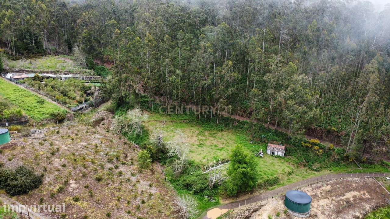 Terreno Rústico com 3.796 m² nos Canhas – Ponta do Sol - Grande imagem: 5/7