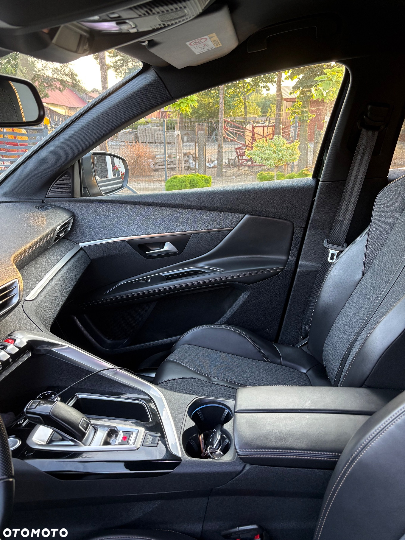 Peugeot 3008 - 18