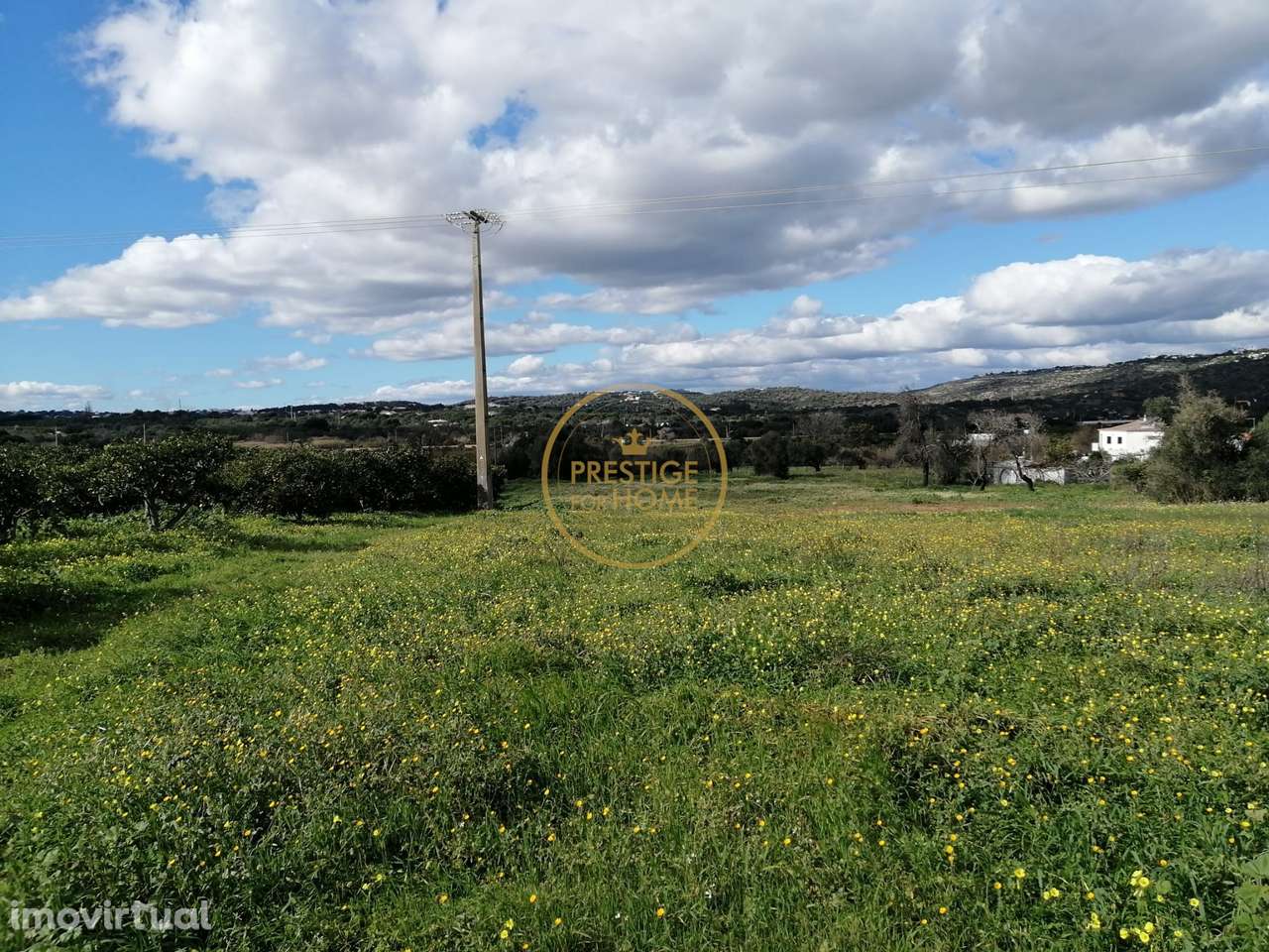 Terreno  vedado, totalmente plano proximo do Triangulo Dourado com agu - Grande imagem: 5/14