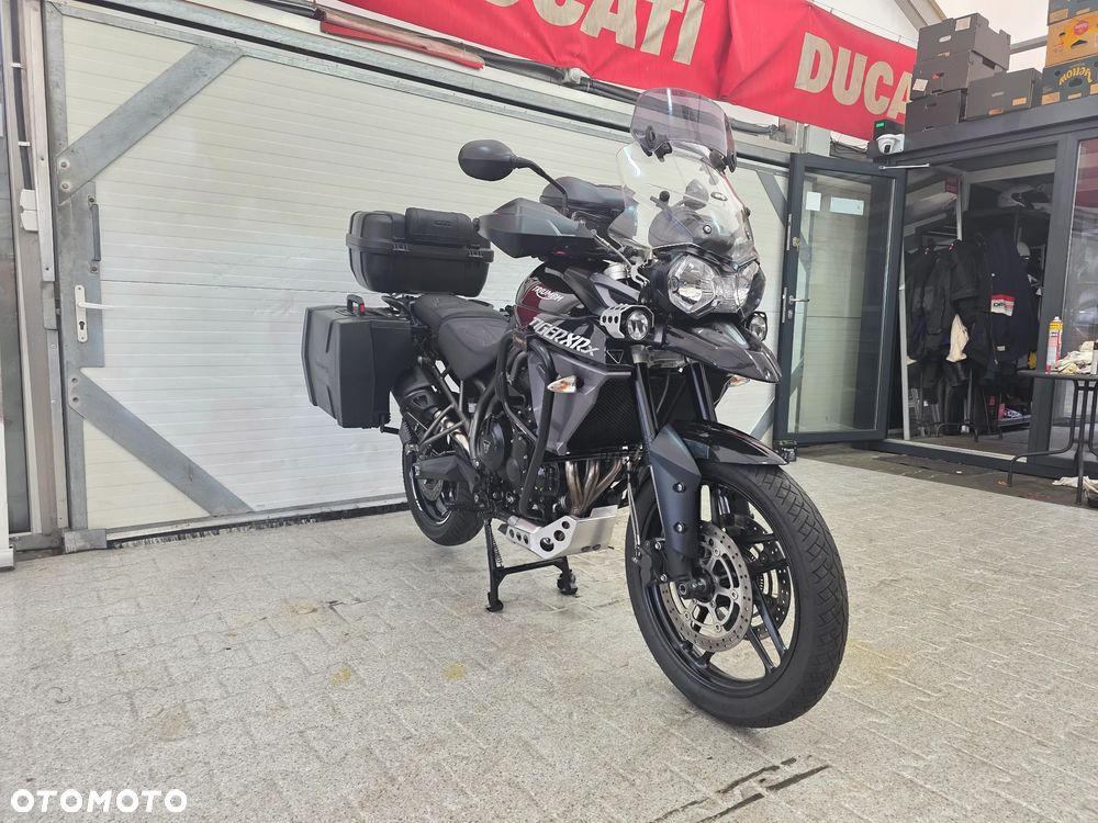 Triumph Tiger - 5