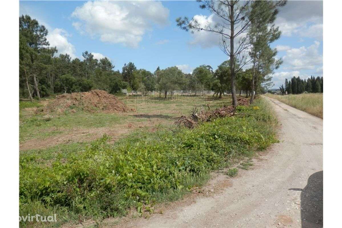 Terreno Rústico em Anadia - Grande imagem: 4/8