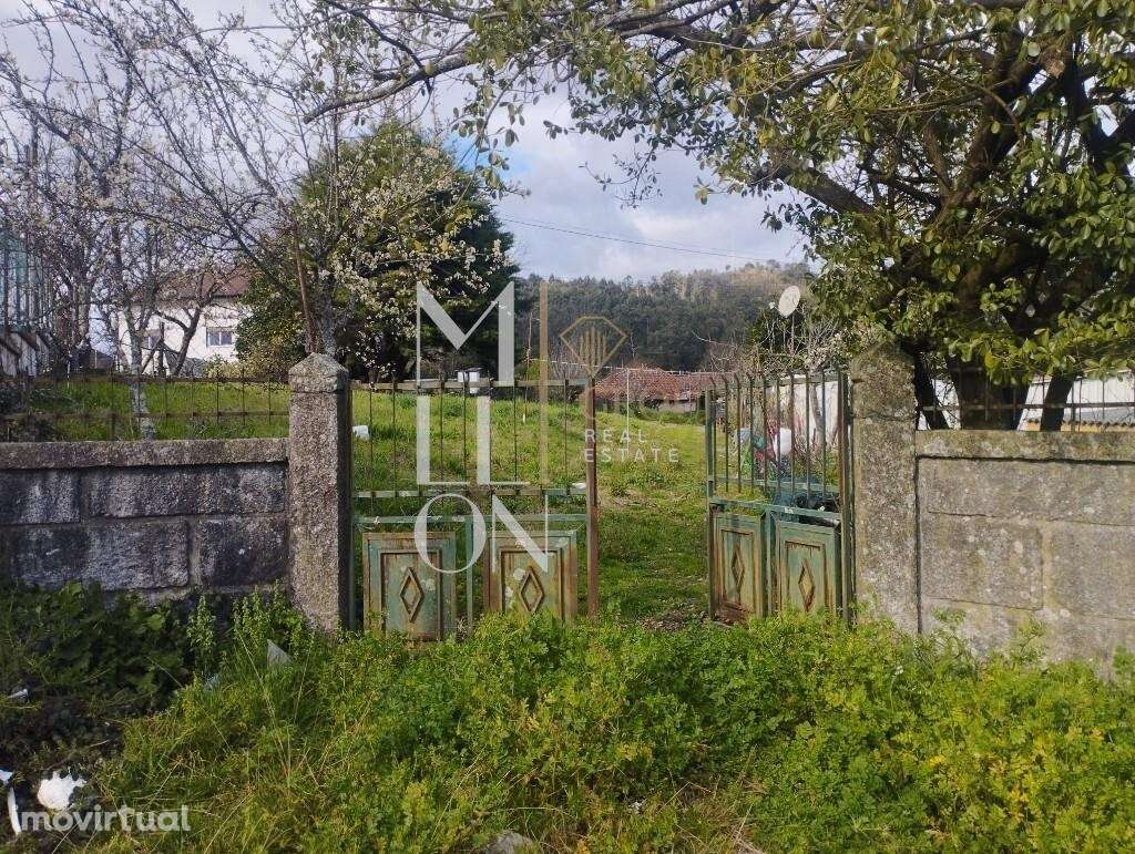 Atenção Felgueiras Investidores - Conjunto de Imóveis para venda - Grande imagem: 3/28