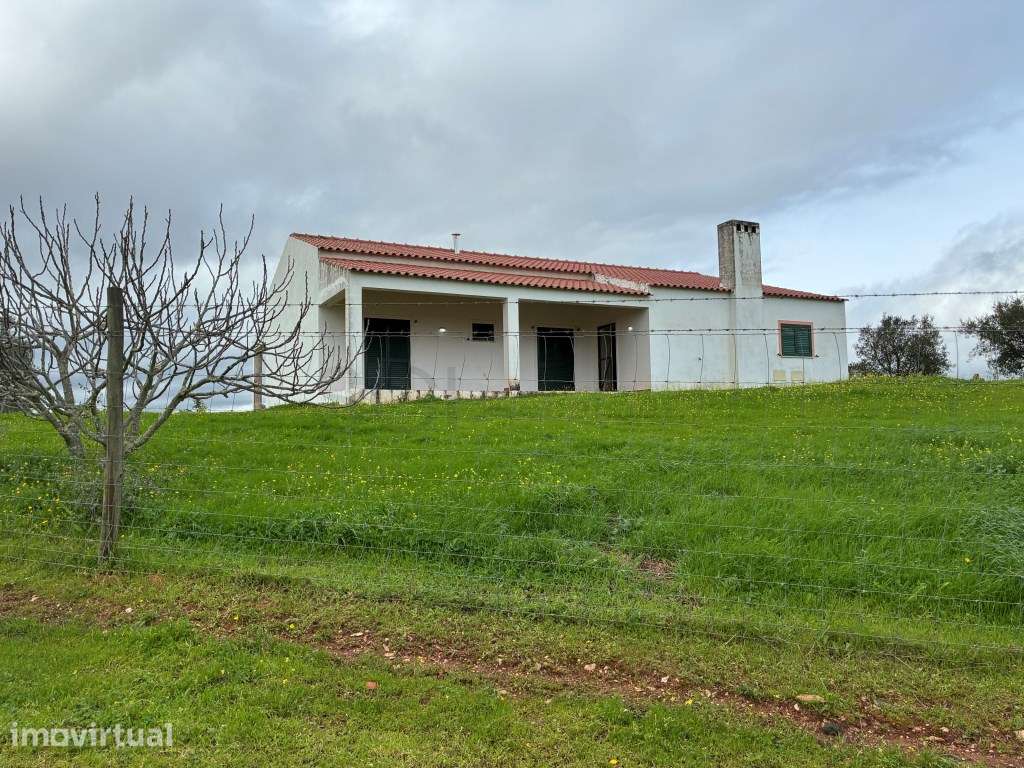 QUINTA T4, SERPA com uma vista fantástica , com duas barragens ... - Grande imagem: 5/60