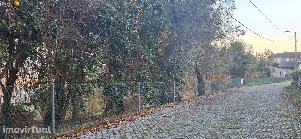 Vende-se Terreno Agrícola, Paredes -Secas  - Amares - Grande imagem: 3/35