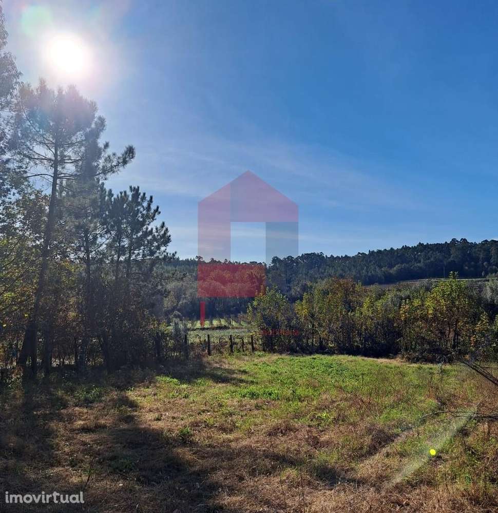 Terreno Agrícola, Gondiães - Grande imagem: 3/9