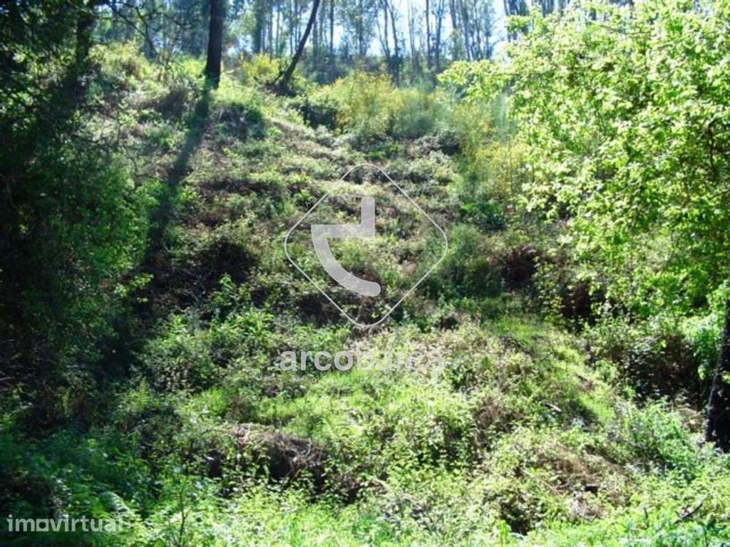 Terreno a confrontar com um Ribeiro - Grande imagem: 2/10
