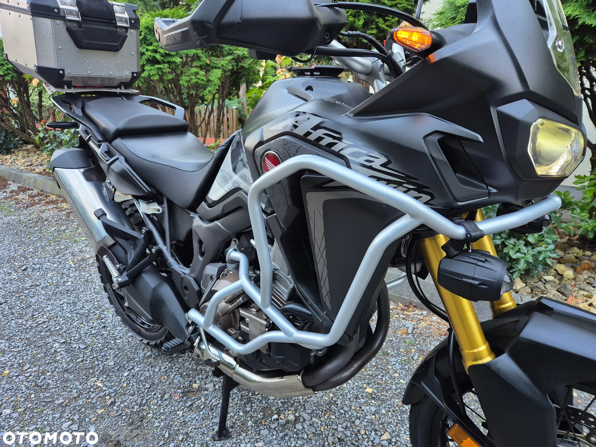 Honda CRF - 10