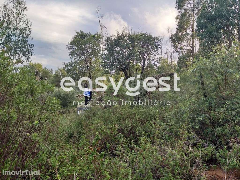 Terreno rústico com ruína com área total de 1360m2, Monchique - Grande imagem: 2/21