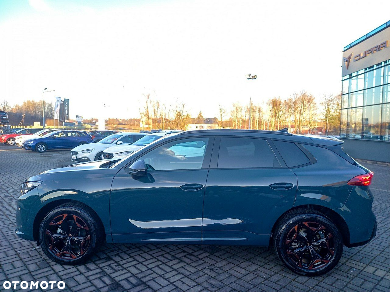 Cupra Terramar - 4