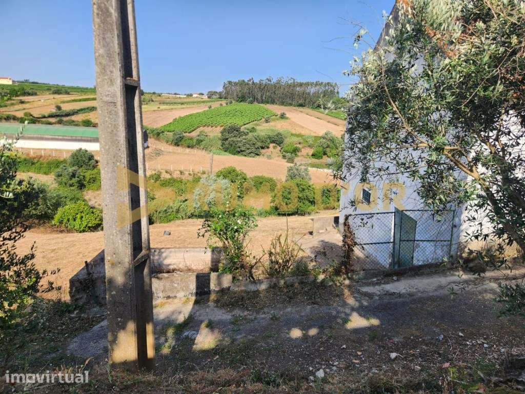 Armazém com Terreno e Vista de Campo em Vila Chã - Grande imagem: 2/15