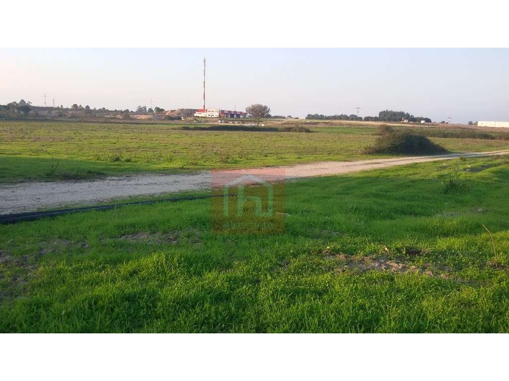 Terreno com 9 ha com viabilidade para turismo/agrícola em Benavente - Grande imagem: 2/20