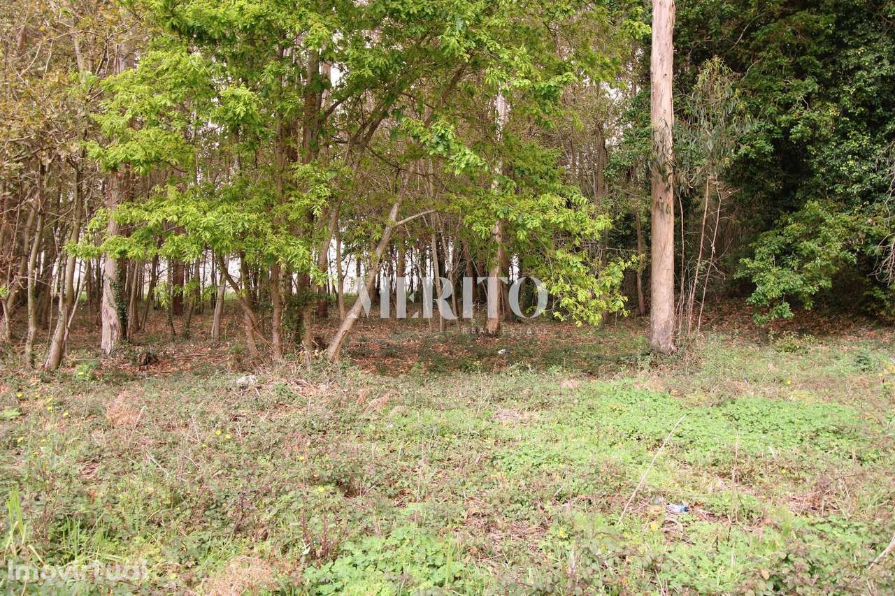 Terreno Misto com área de 21.000m2- Aveleda - Vila do Conde - Grande imagem: 2/16