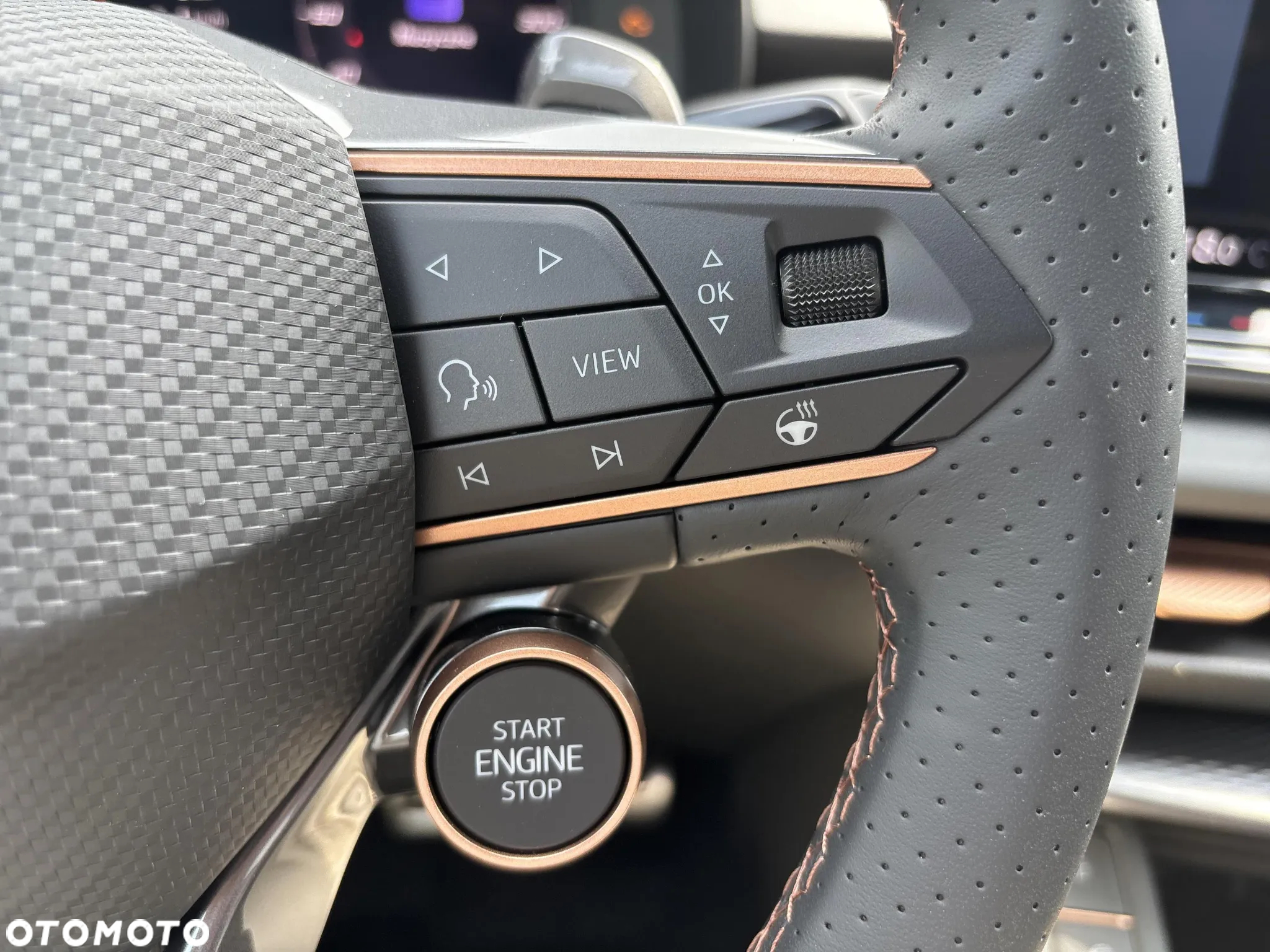 Cupra Terramar 2.0 TSI 4Drive DSG - 22