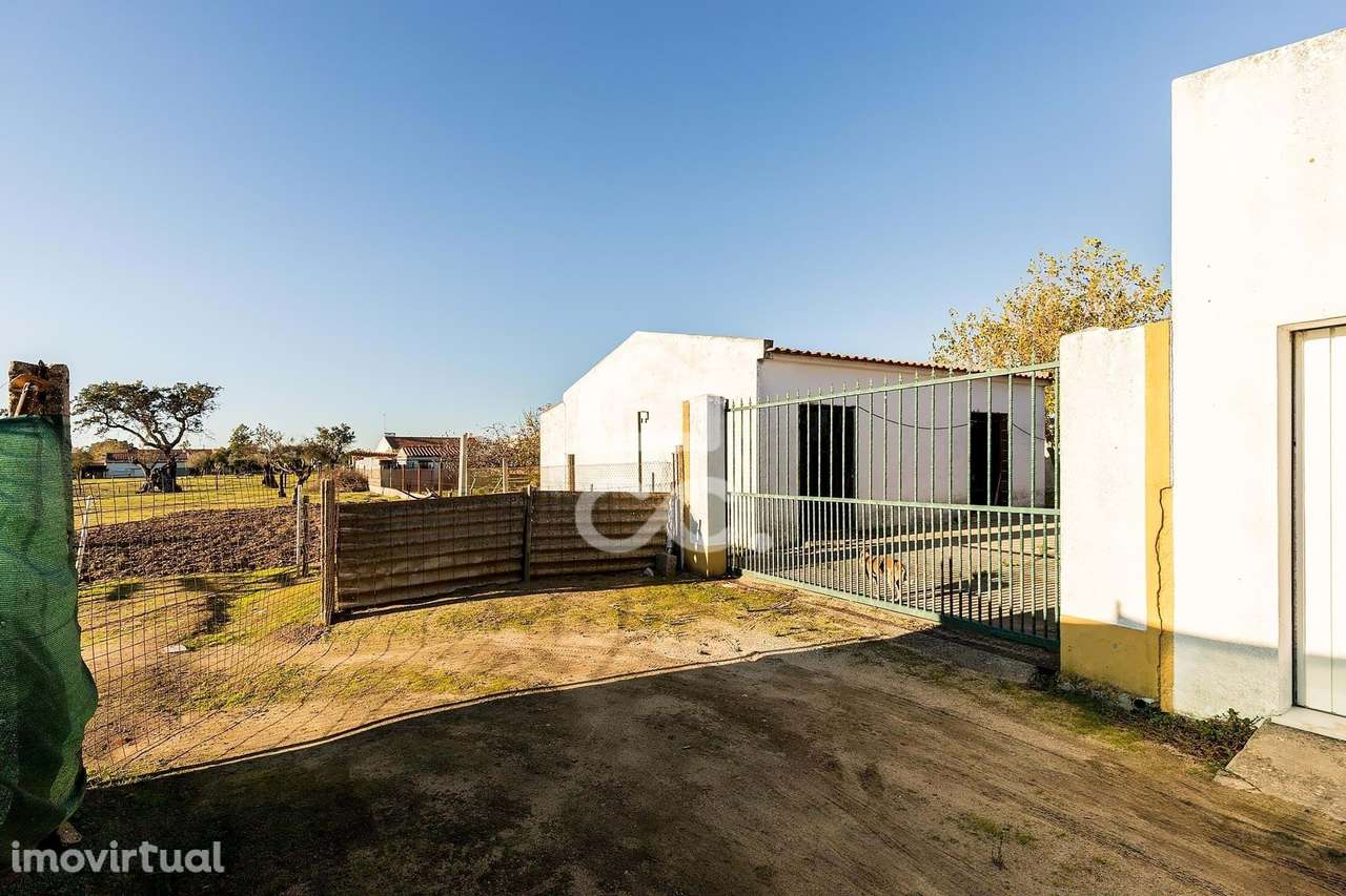Terreno de  1.350 m² c/ Anexo de Apoio Agrícola | Canaviais, Évora - Grande imagem: 5/46