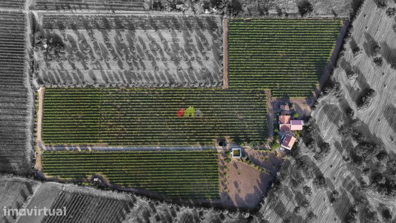 Quinta dos Sonhos em Reguengos de Monsaraz - Grande imagem: 2/60