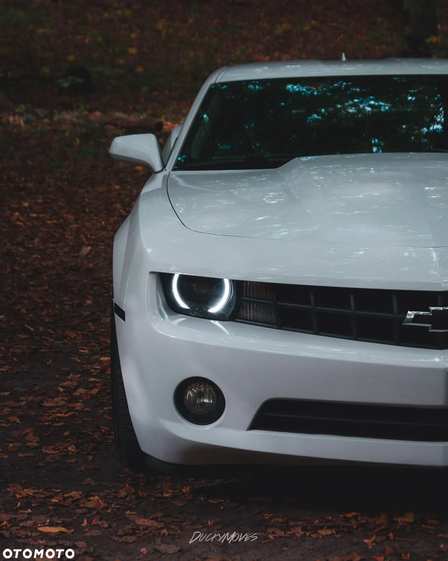 Chevrolet Camaro 3.6 V6 Coupe 2LT - 11
