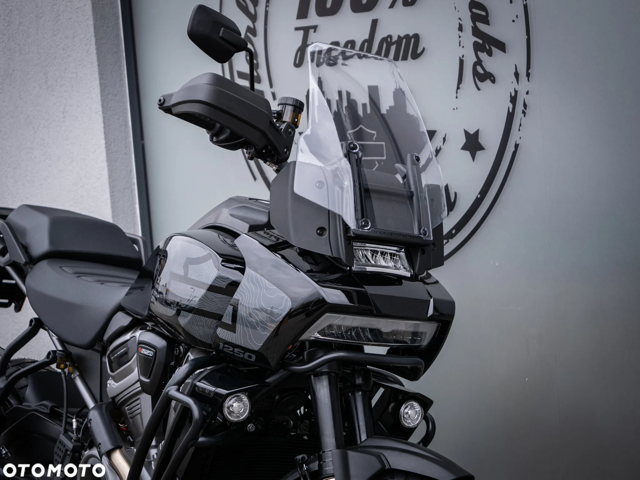 Harley-Davidson Pan America - 11