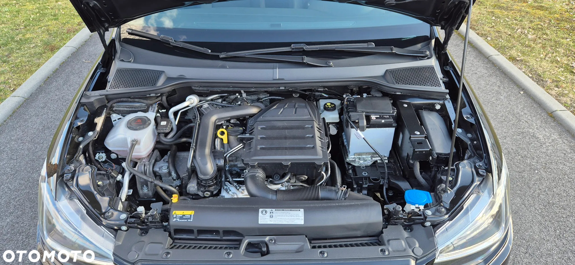 Seat Ibiza - 15