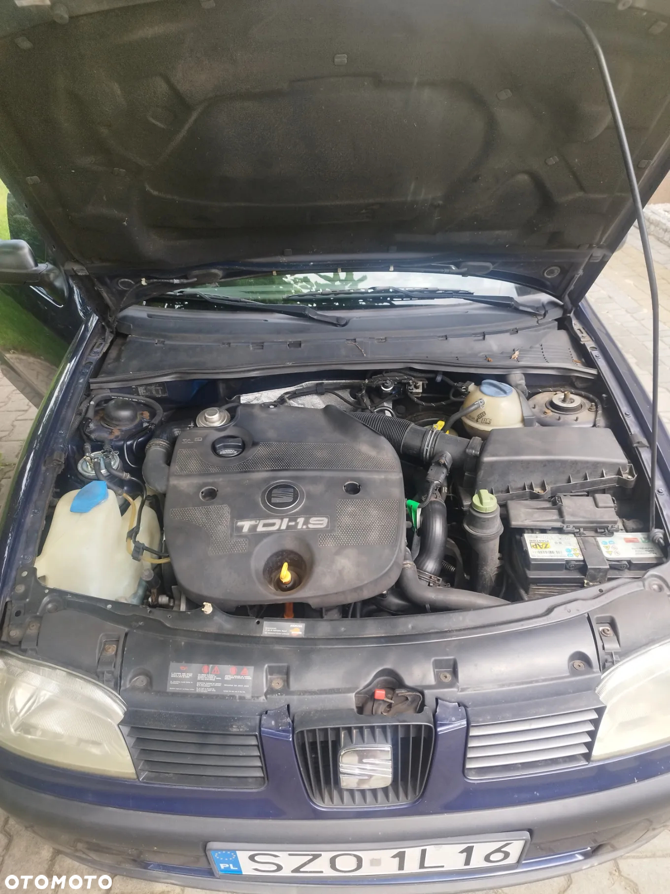 Seat Ibiza - 5