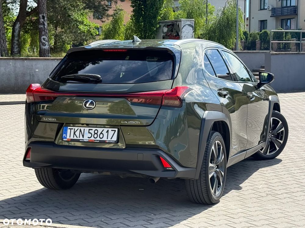Lexus UX 250h F Sport 2WD - 17