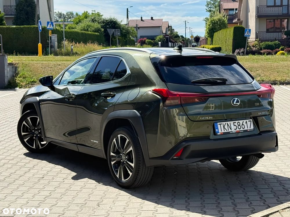 Lexus UX 250h F Sport 2WD - 8