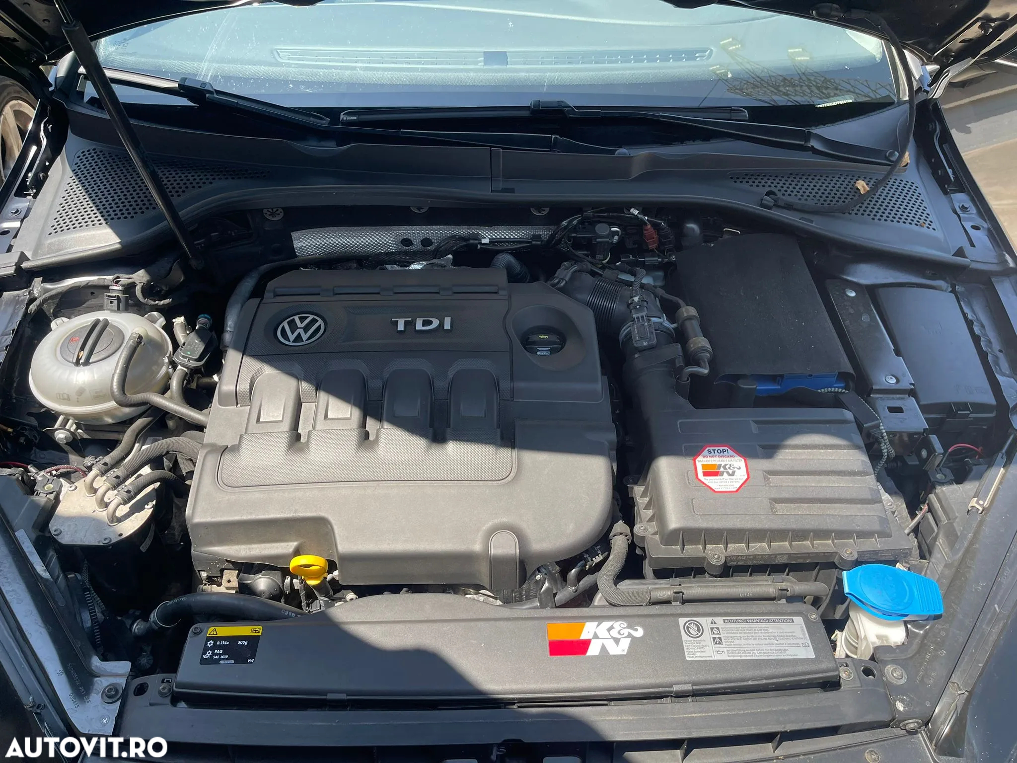 Volkswagen Golf - 21