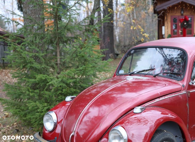 Volkswagen Garbus - 8