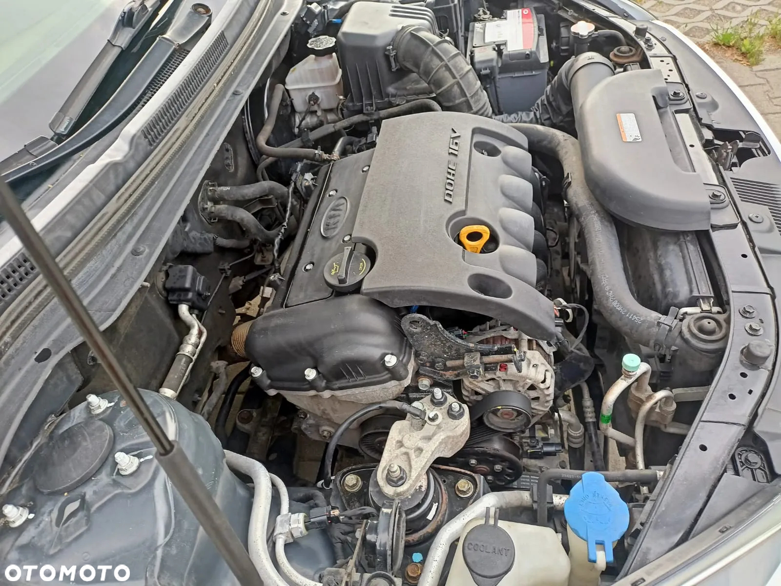 Kia Ceed Cee'd 1.6 Comfort + - 24