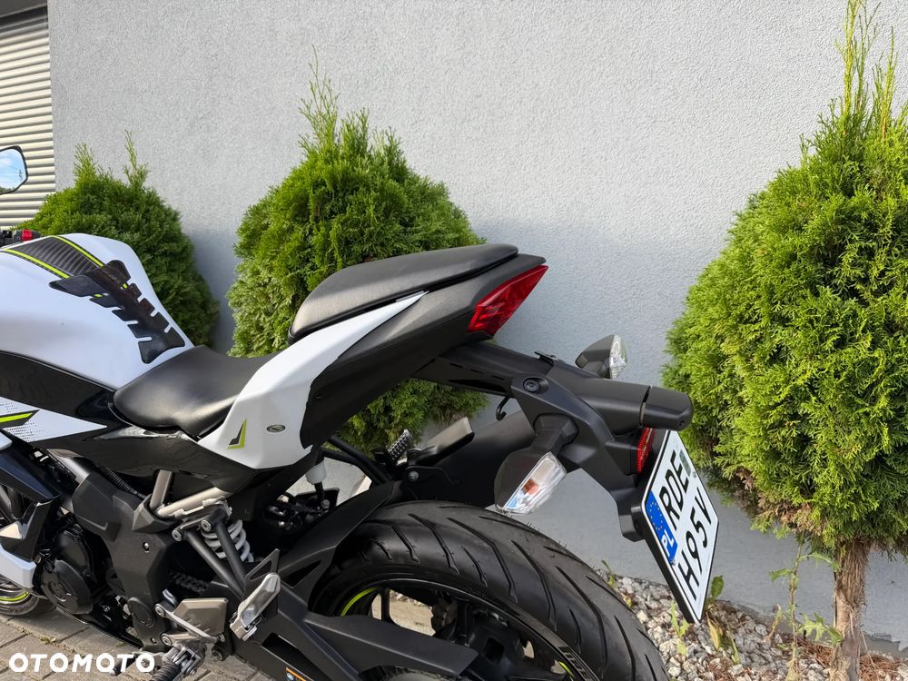 Kawasaki Ninja - 30