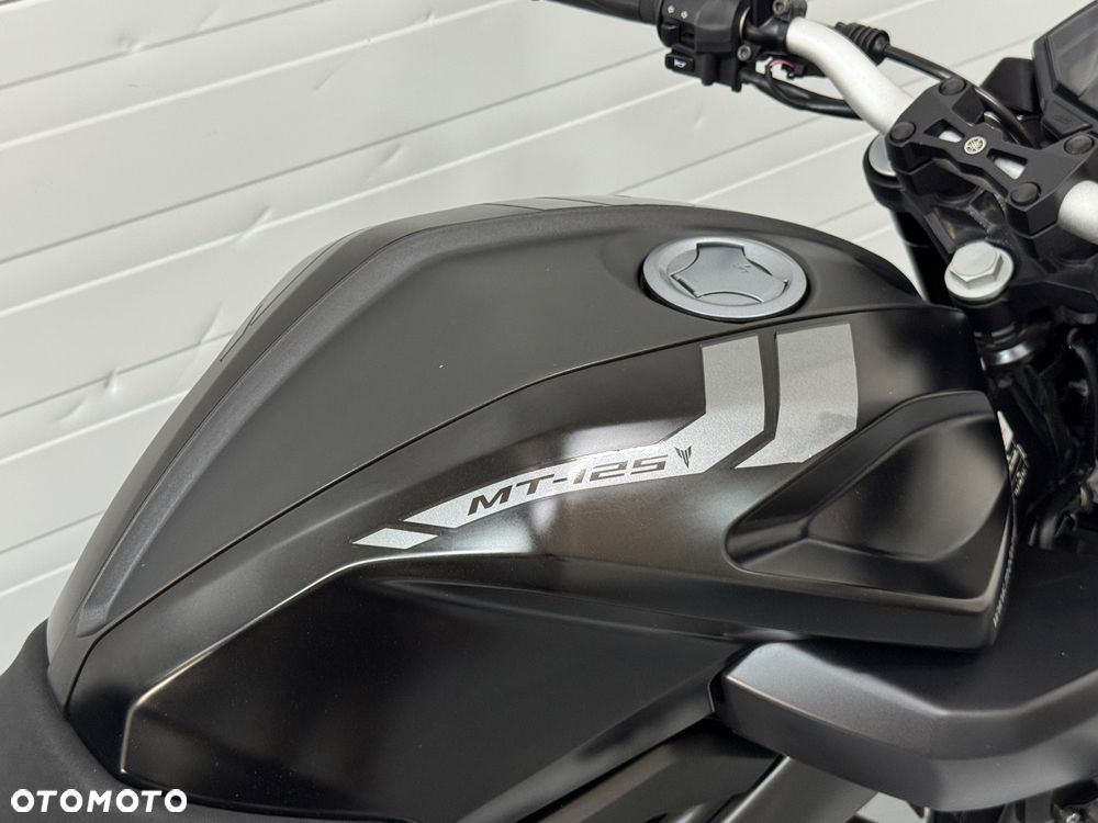 Yamaha MT - 13
